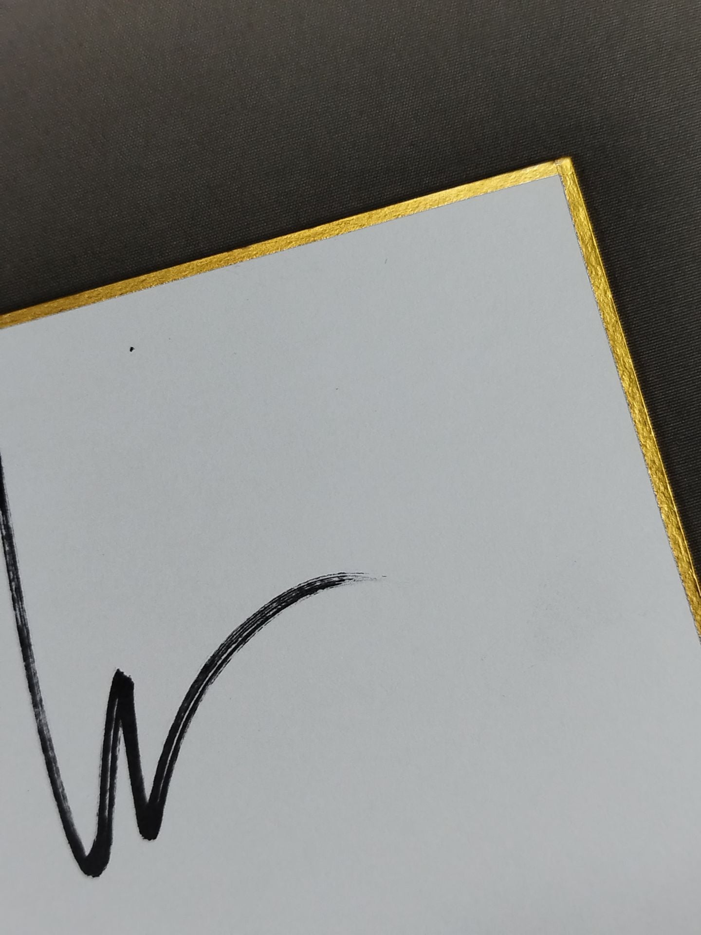 ★ Best Friends ★: Chuck Taylor and Trent Valletta