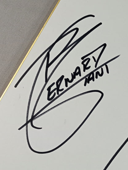 ジャイアント・バーナード＆ロウ・キー