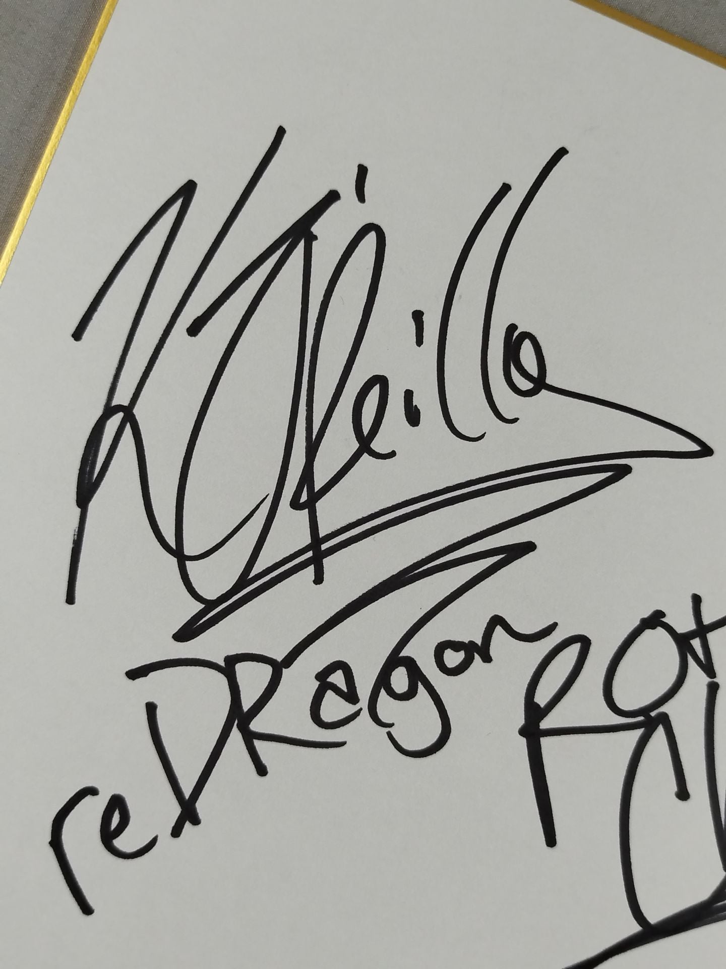 ★reDRagon★ Kyle O'Reilly & Bobby Fish