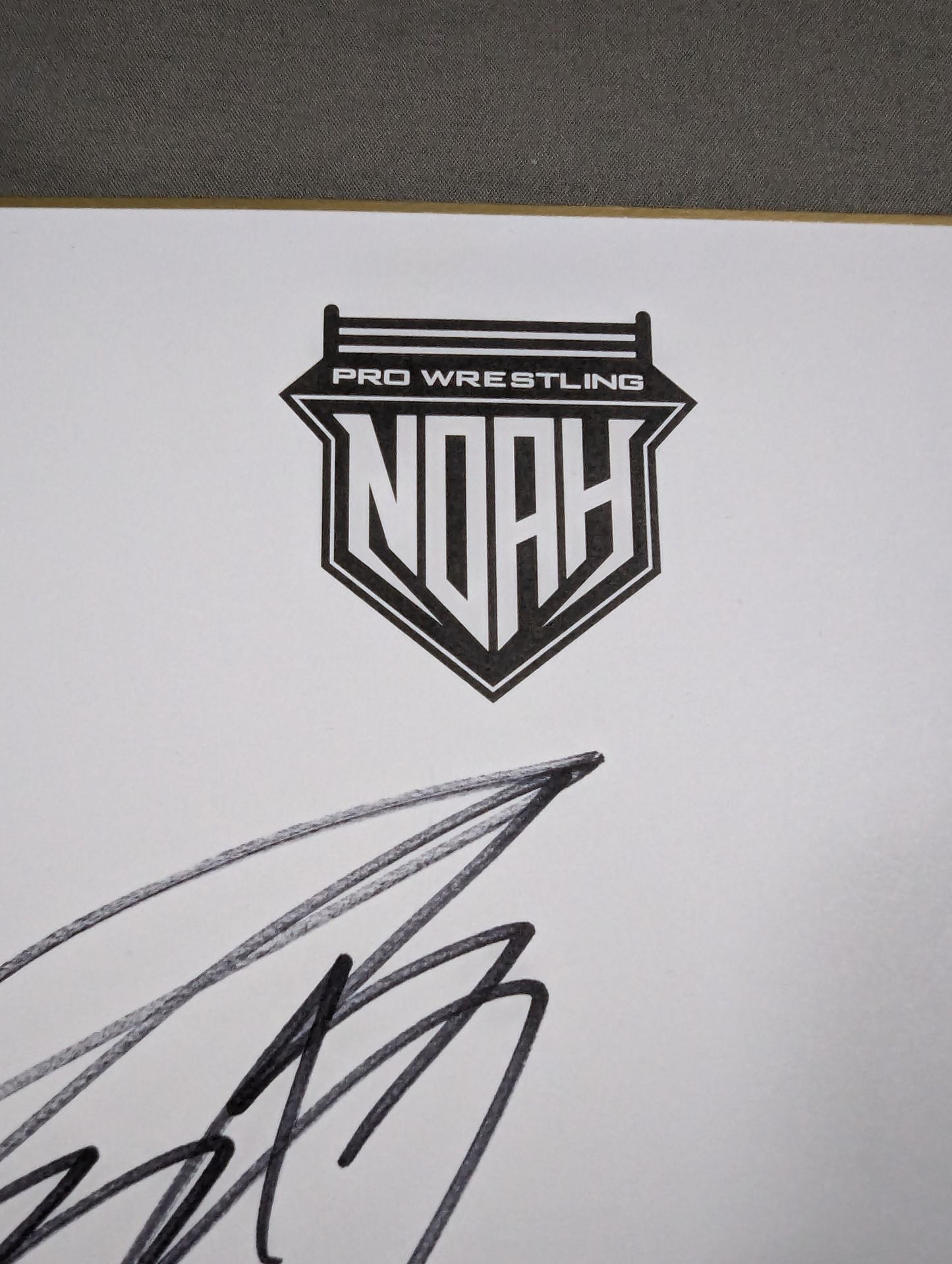 ★GLG★ Jack Morris & Anthony Green (NOAH exclusive Shikishi ( Autograph board ) )
