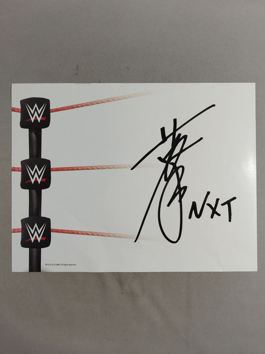 Hideo Itami (WWE paper)