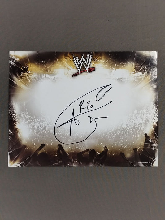 Alberto Del Rio  (WWE paper)