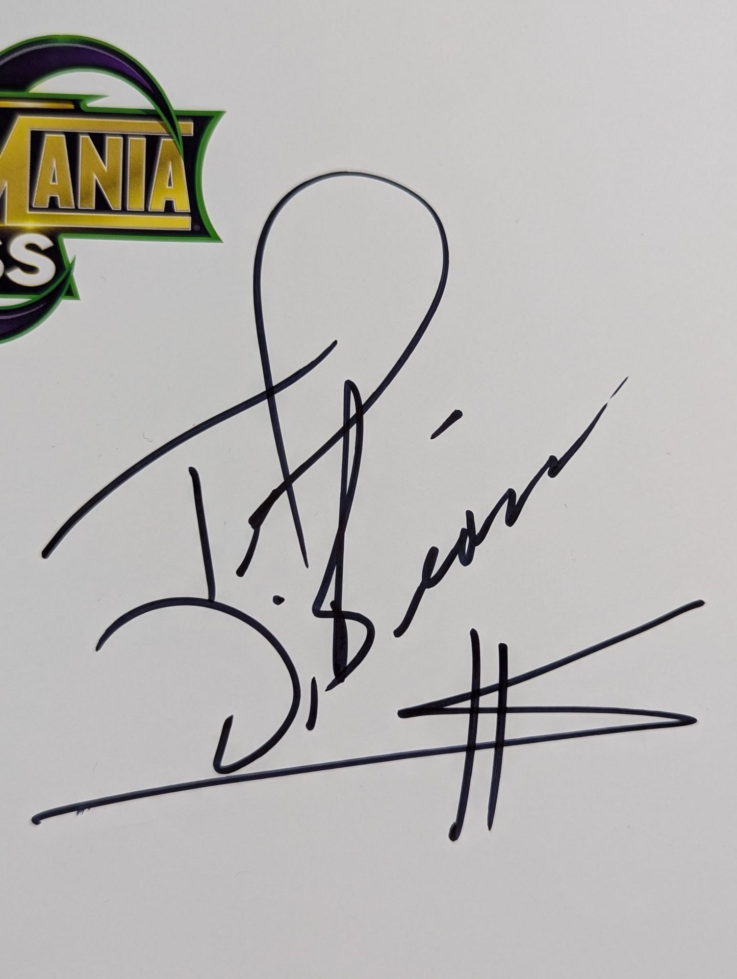 テッド・デビアス(WWE専用用紙)