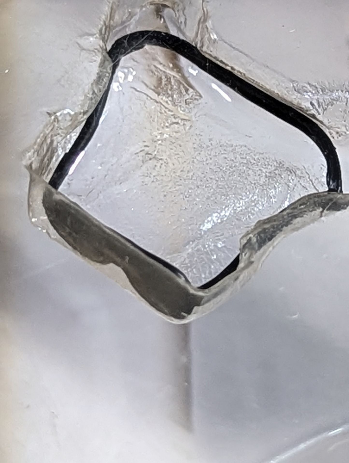 Rick Flair & Barry Wyndham