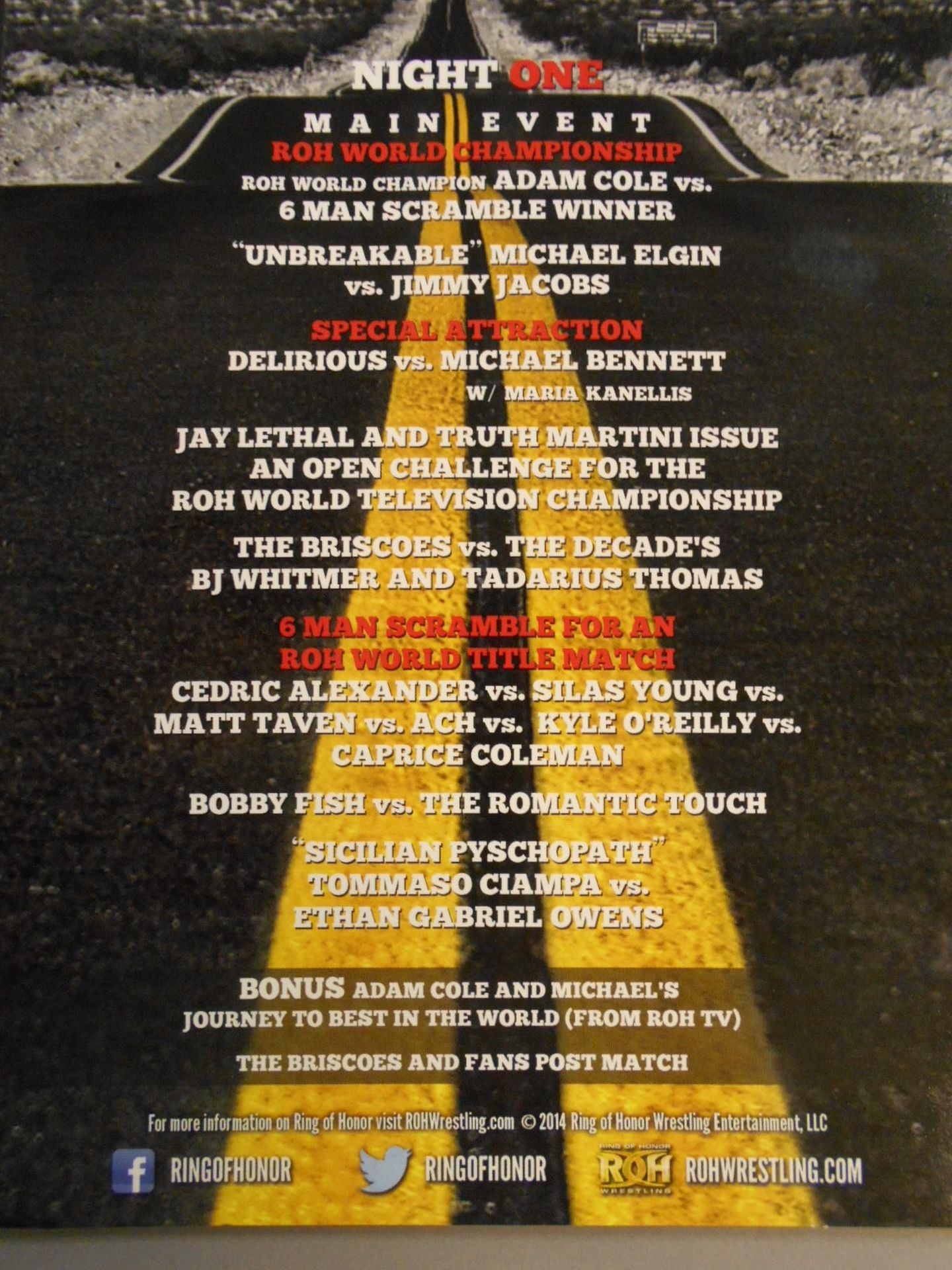 ROH ROAD TO BEST IN THE WORLD 2014 NIGHT ONE