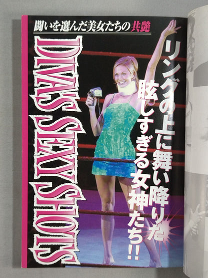 Witness! American Pro Wrestling