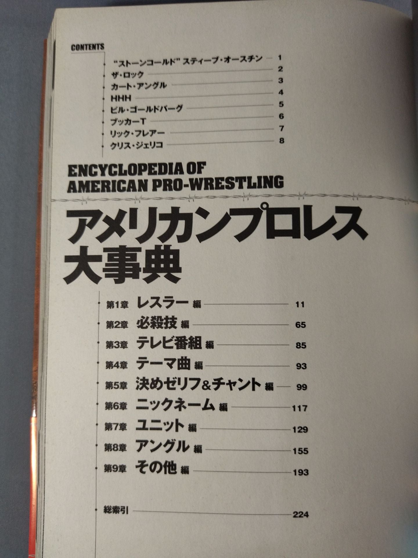 American Pro Wrestling  Encyclopedia Everything you need to know about WWE!