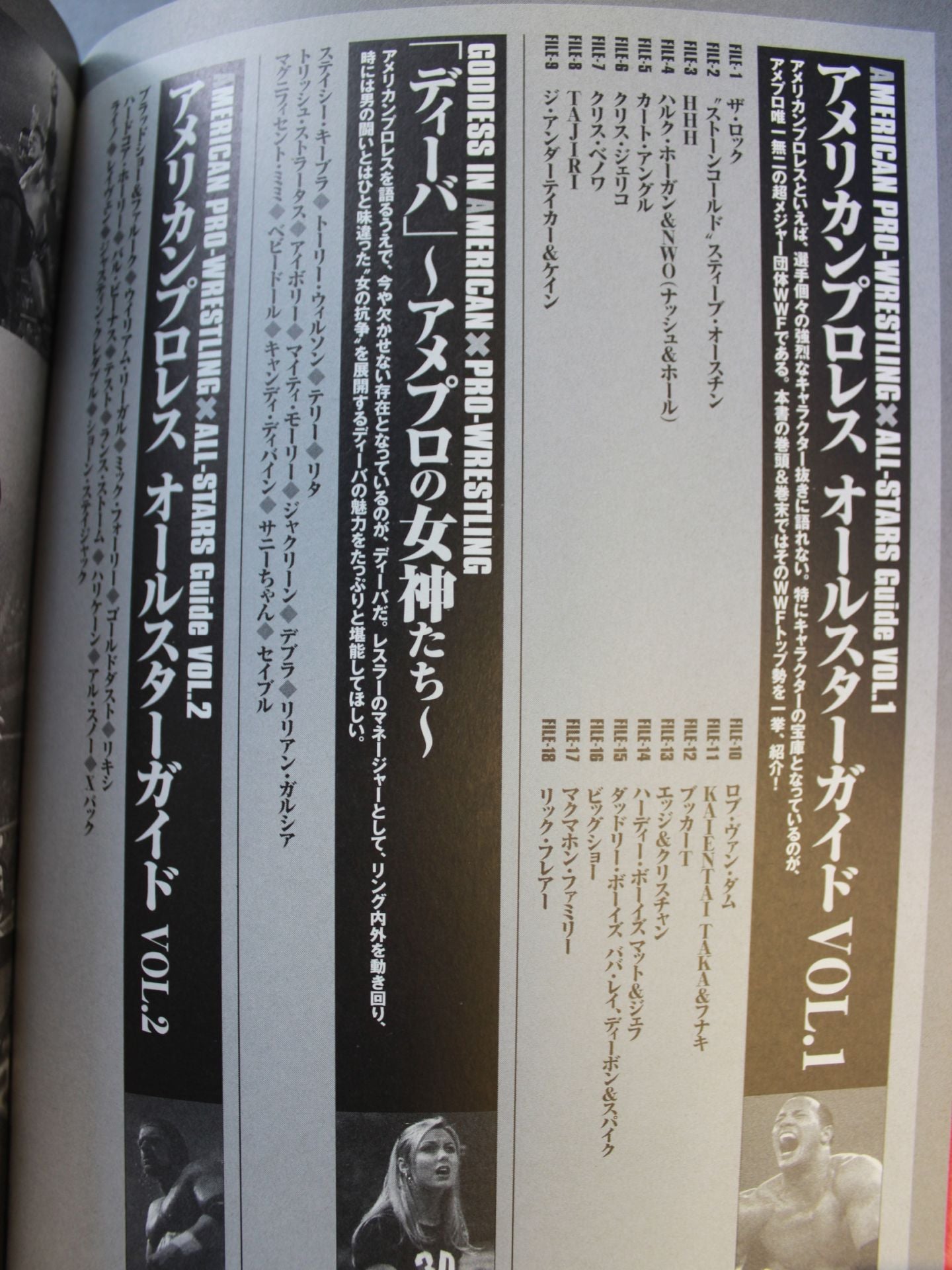 Understand the whole American Pro Wrestling