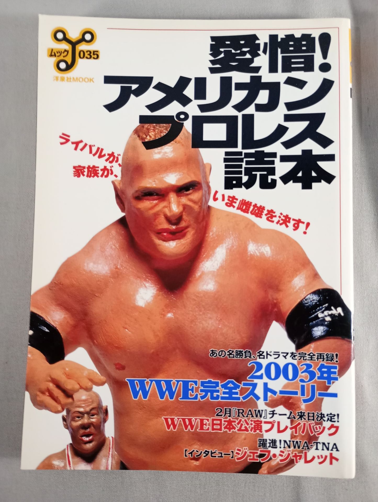 Love and hate! American Pro Wrestling  Reader Rivals and families now decide the male and female!