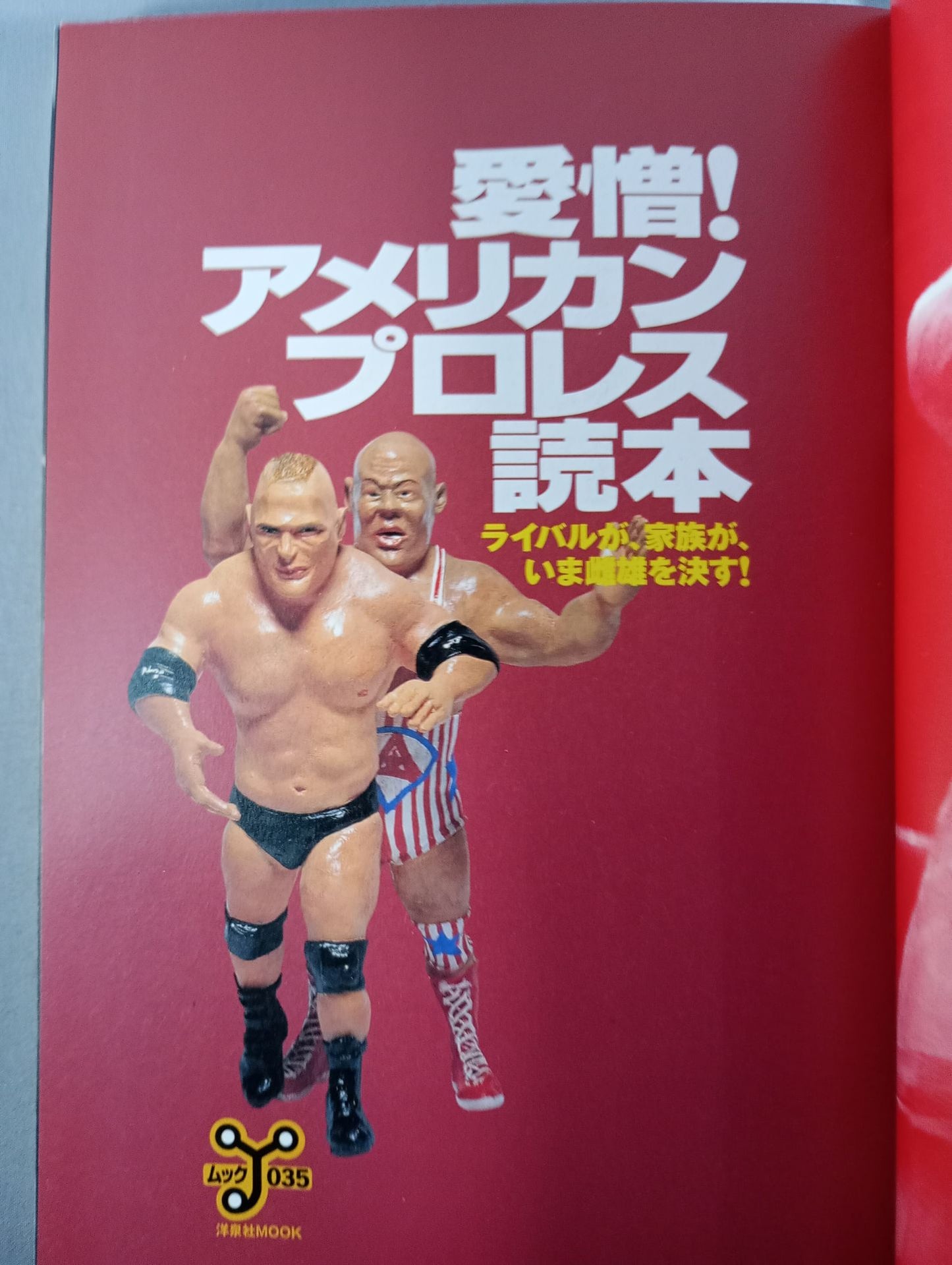 Love and hate! American Pro Wrestling  Reader Rivals and families now decide the male and female!