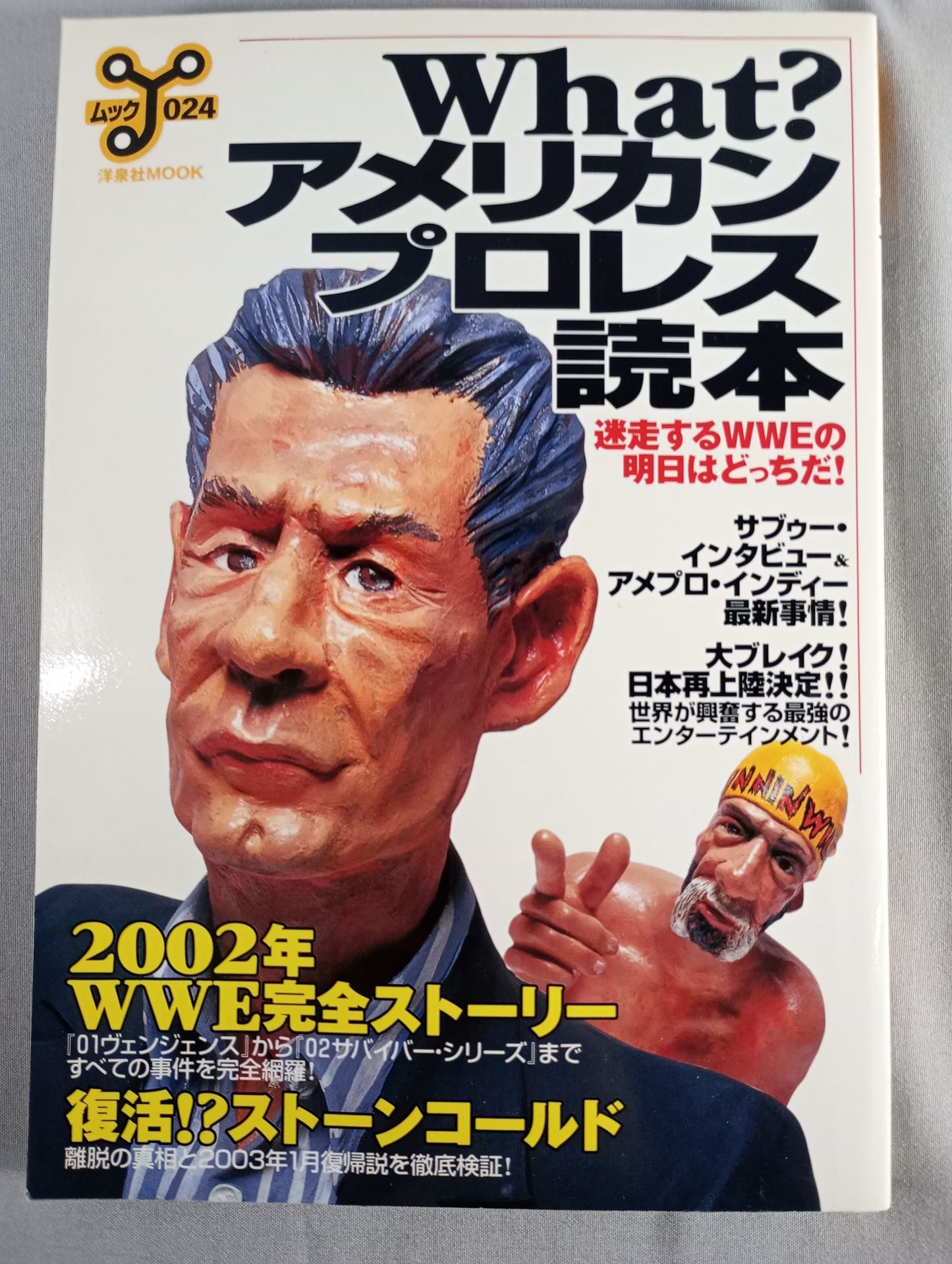 What？ American Pro Wrestling Reader Which is the future of WWE?
