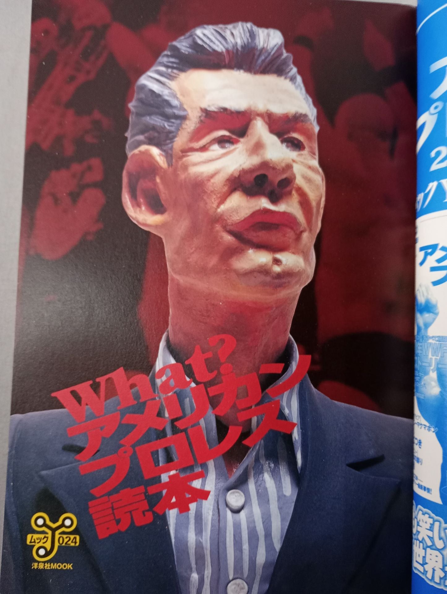 What？ American Pro Wrestling Reader Which is the future of WWE?
