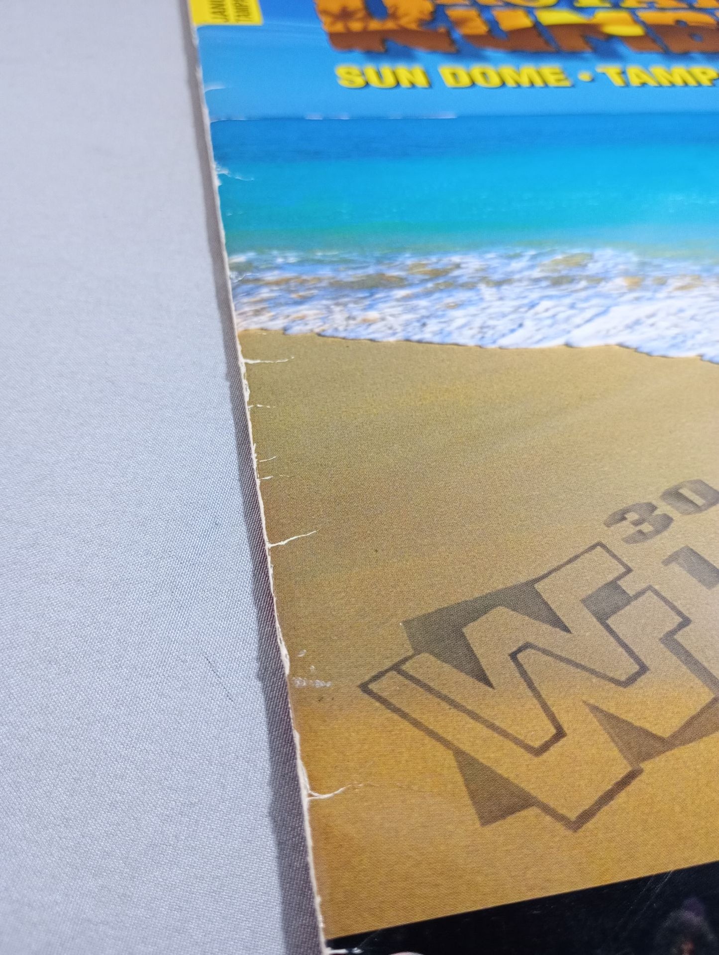 ROYAL RUMBLE 1995 / ロイヤルランブル1995