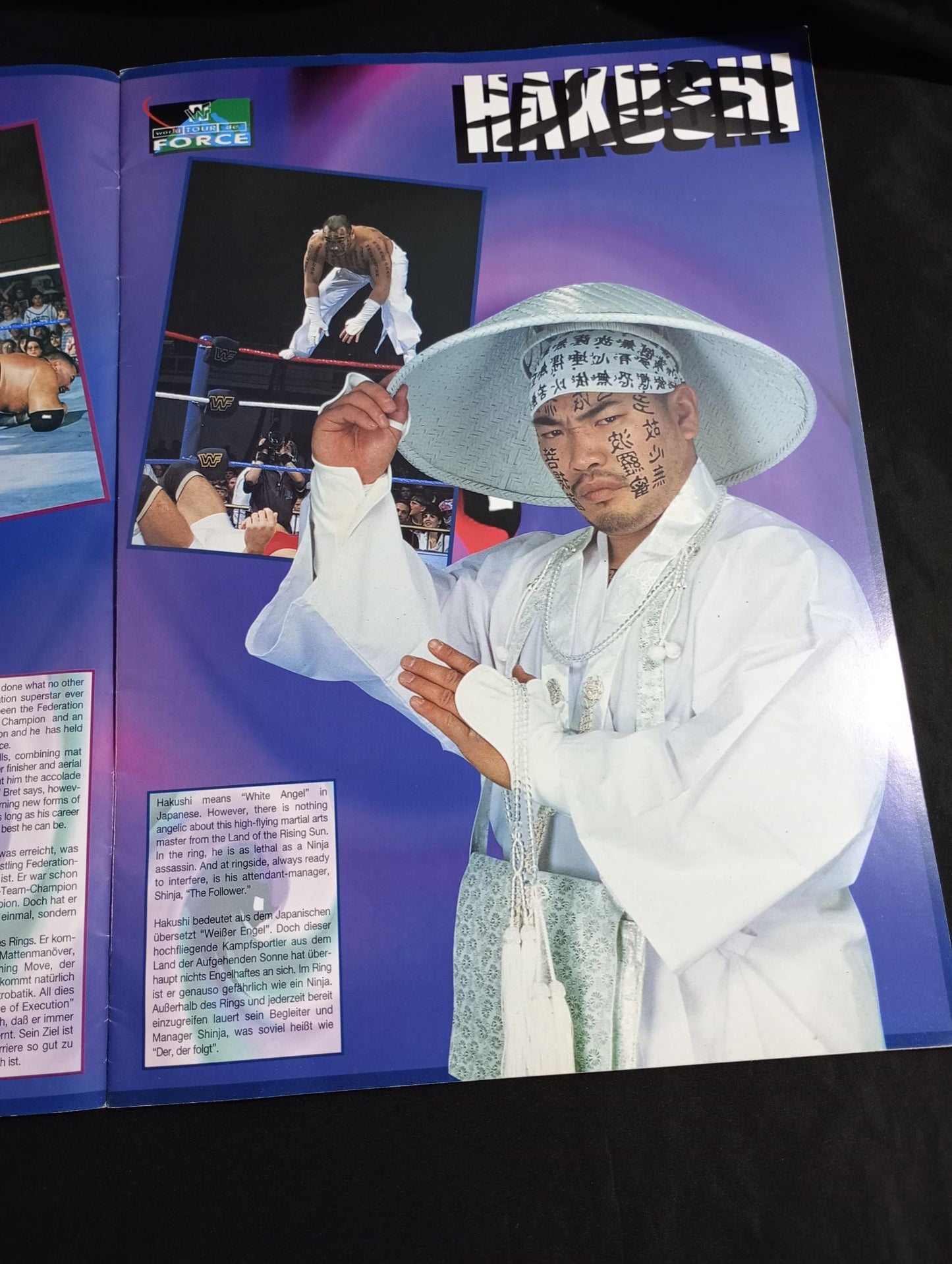 WWF world TOUR de FORCE 1995 / ワールド・ツール・ド・フォース 1995