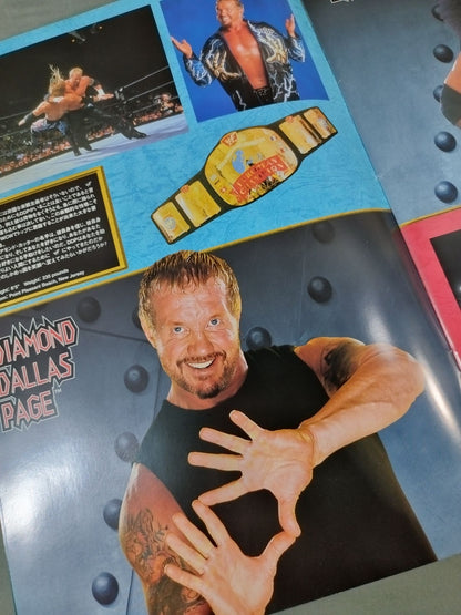 WWF SMACK DOWN! TOUR 2002 / スマックダウンツアー2002