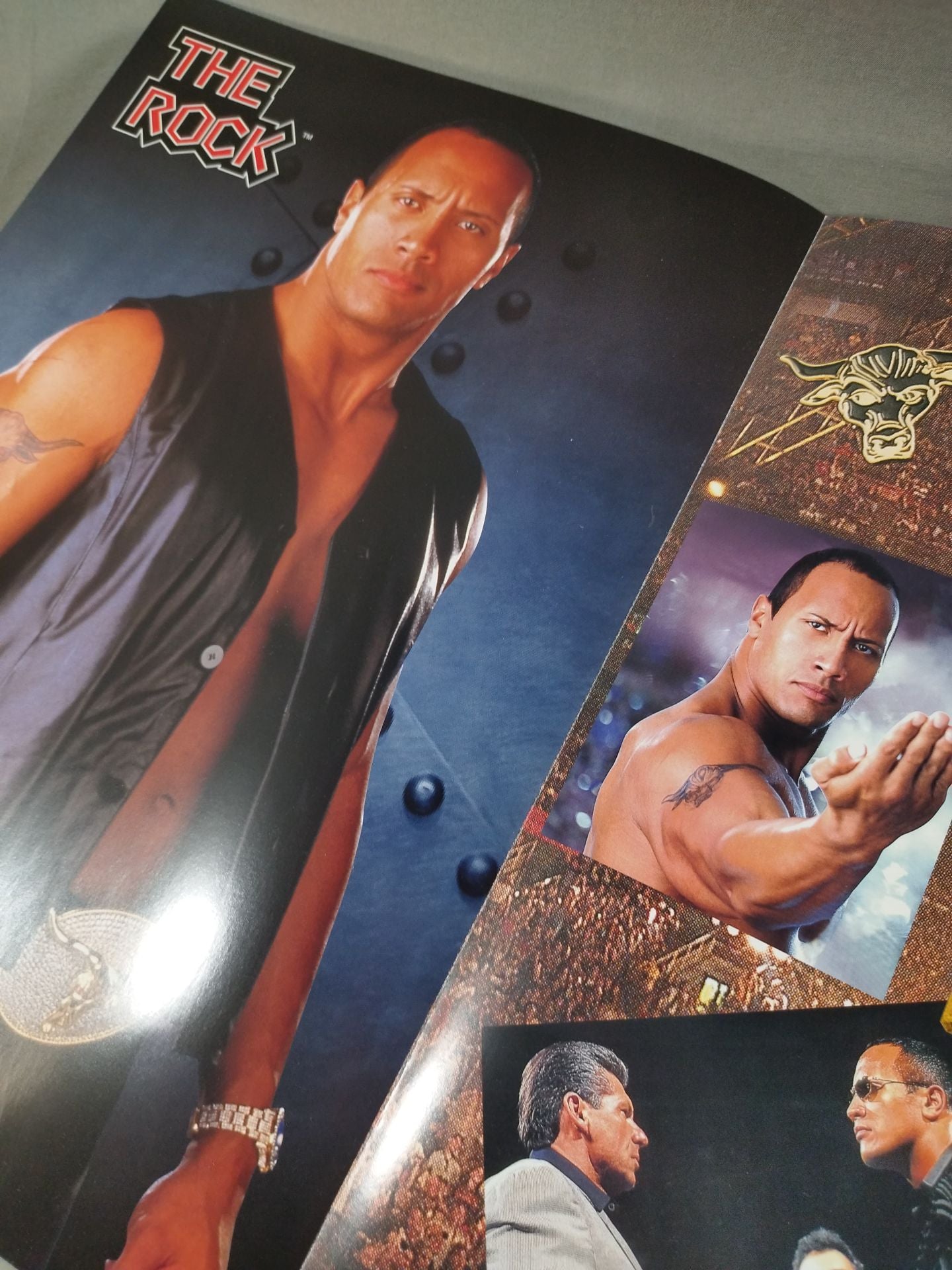 WWF SMACK DOWN! TOUR 2002 / スマックダウンツアー2002