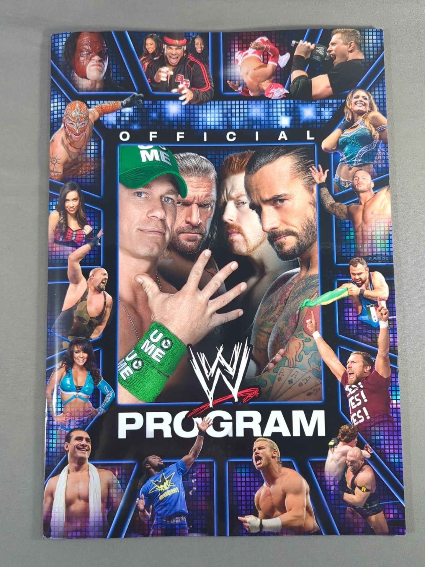 WWE OFFICIAL PROGRAM 2012