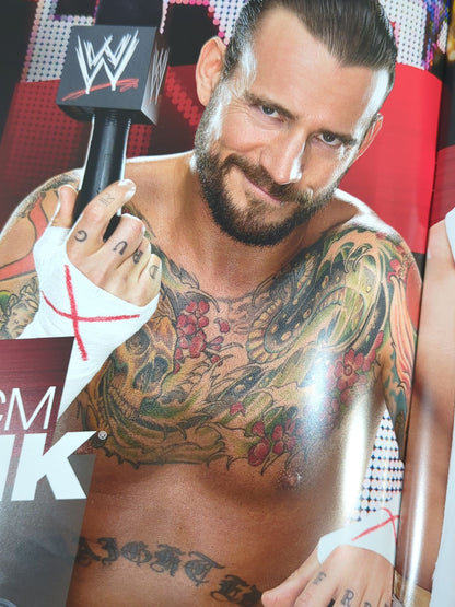 WWE OFFICIAL PROGRAM 2012
