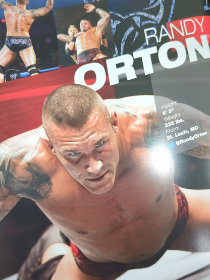 WWE OFFICIAL PROGRAM 2012