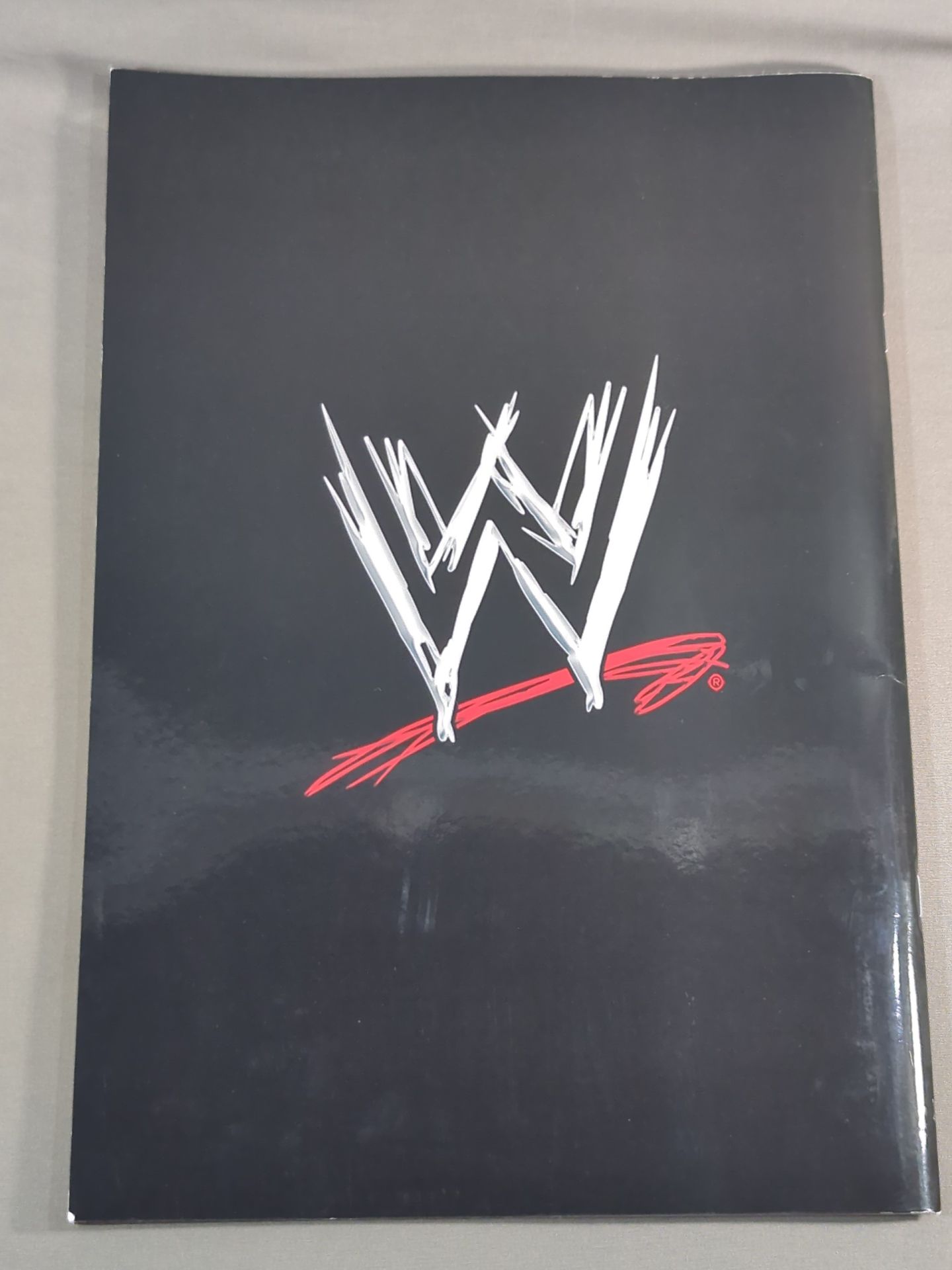 WWE OFFICIAL PROGRAM 2012