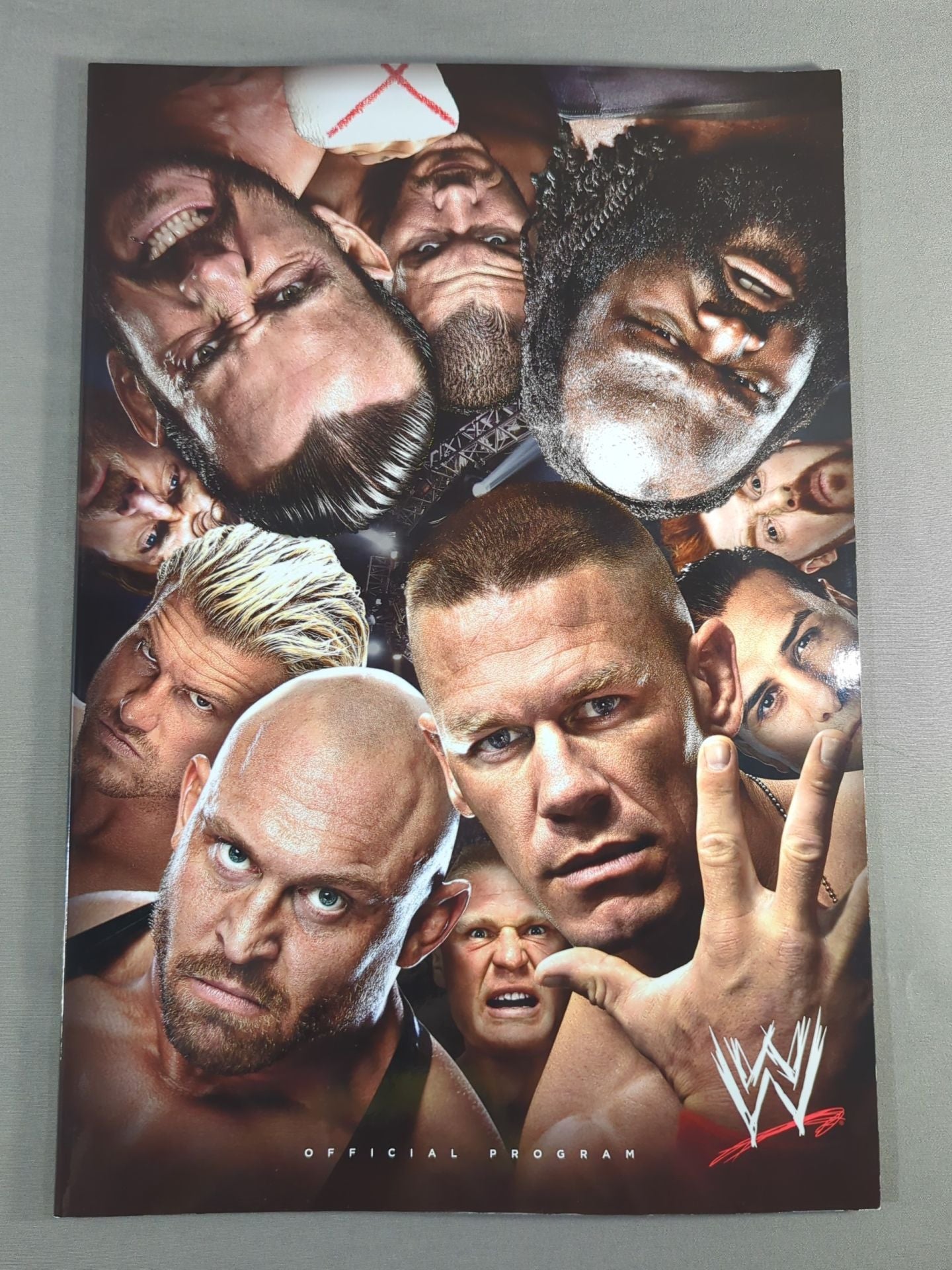 WWE OFFICIAL PROGRAM 2014