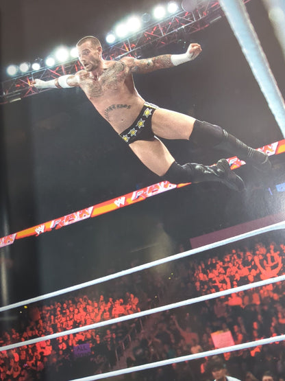 WWE OFFICIAL PROGRAM 2014