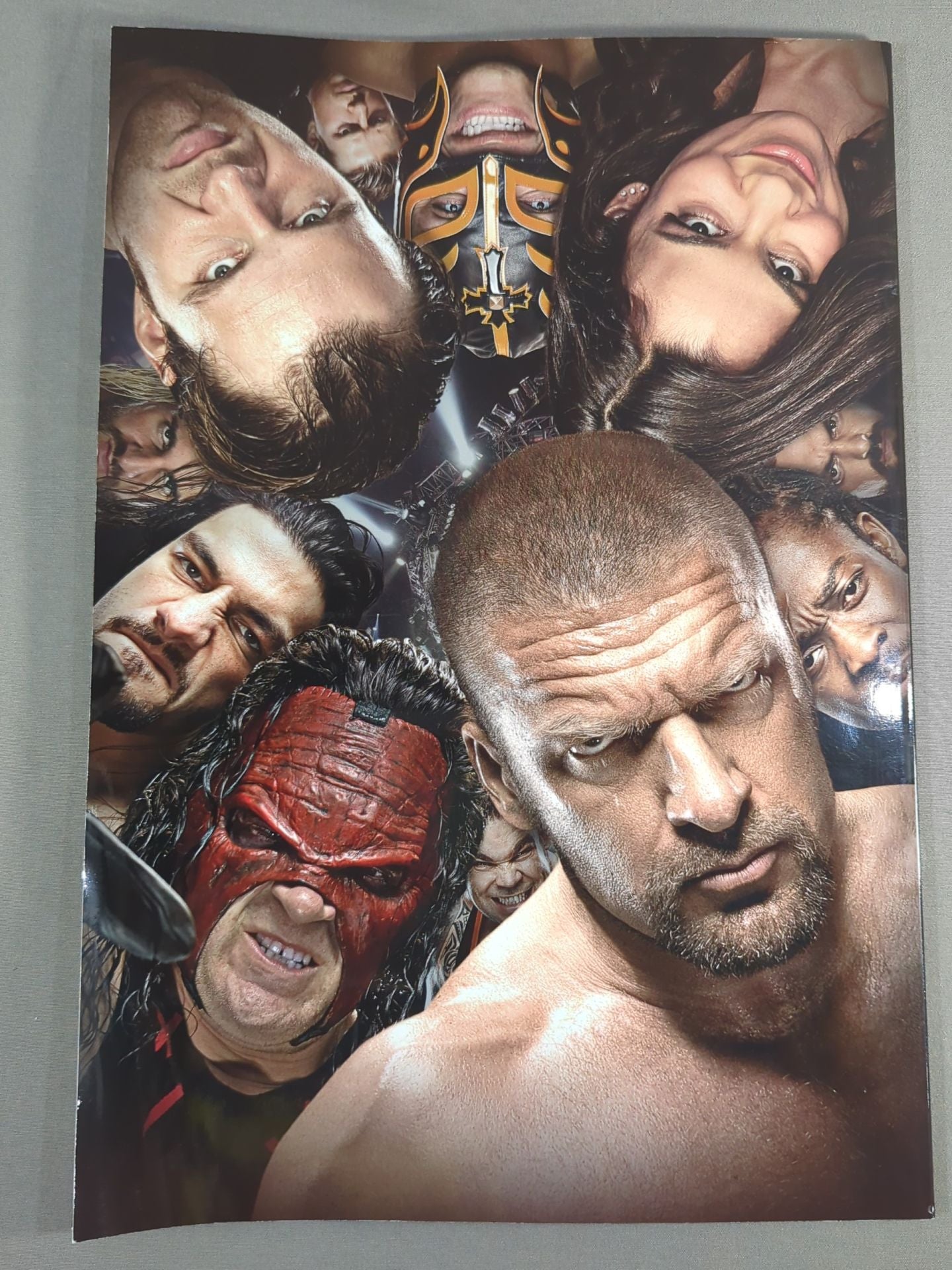 WWE OFFICIAL PROGRAM 2014