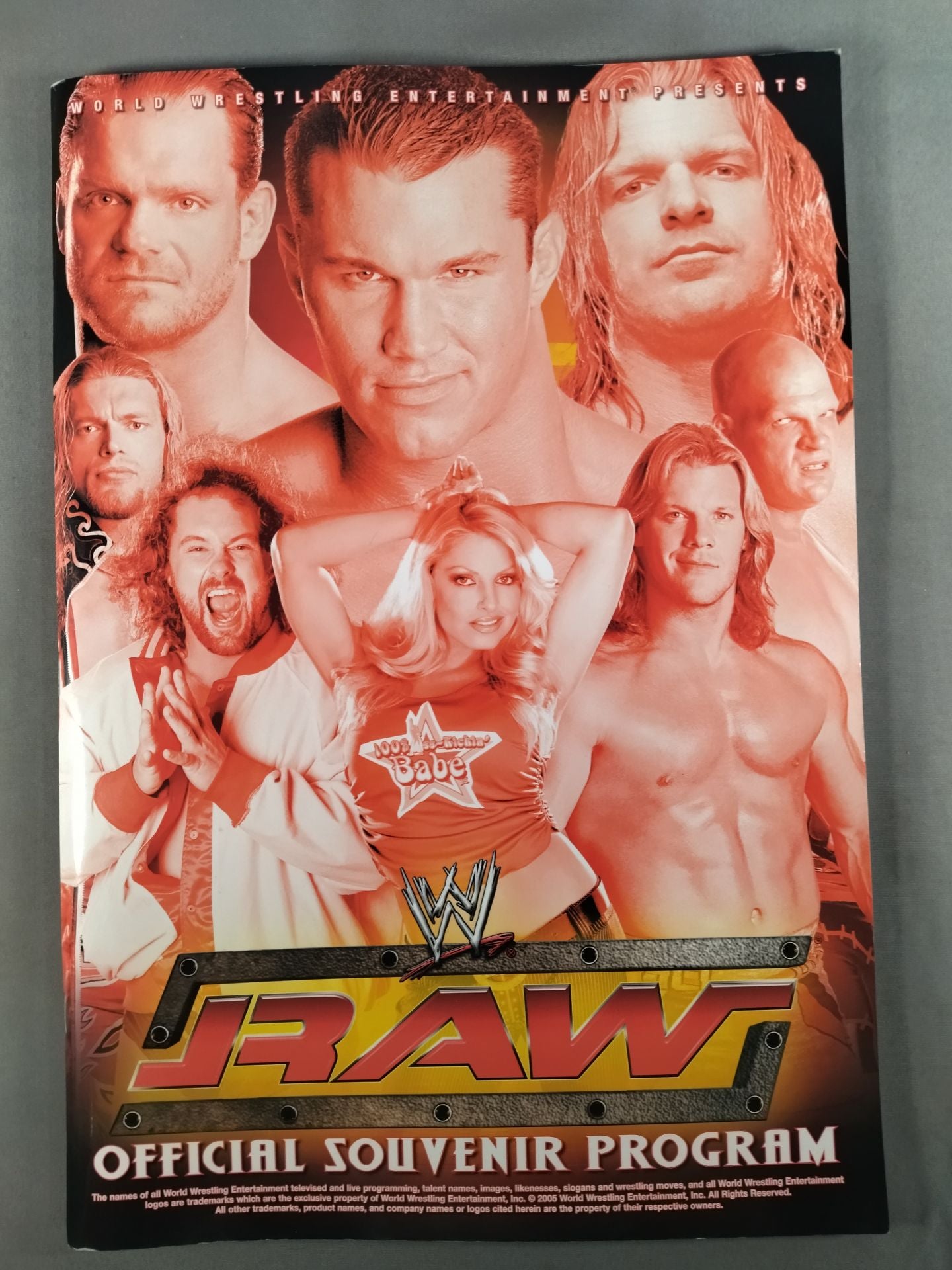 RAW＆SMACKDOWN OFFICIAL SOUVENIR PROGRAM 2005