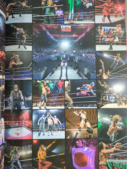 WWE OFFICIAL PROGRAM 2018