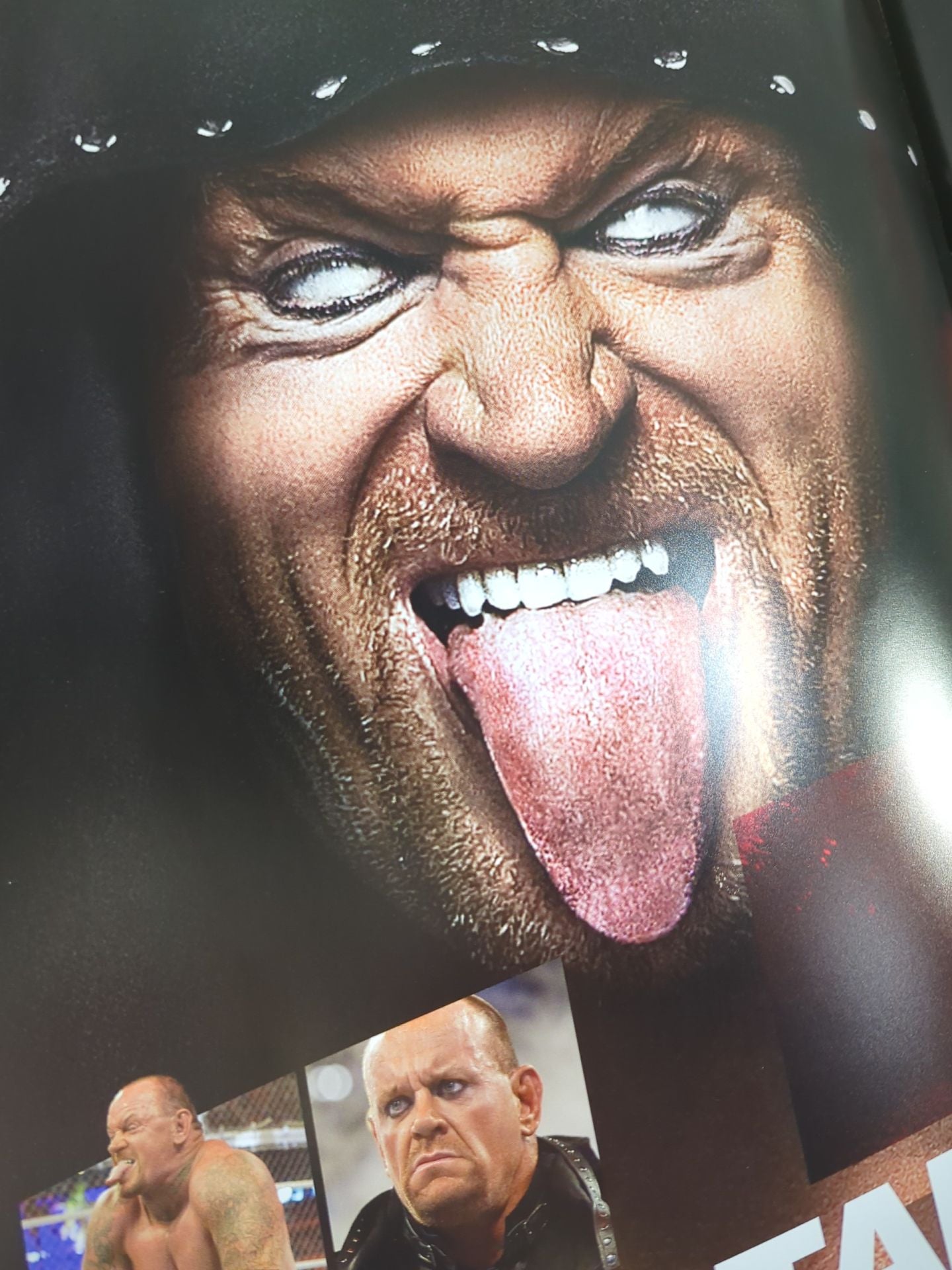 WWE LIVE OFFICIAL PROGRAM 2013