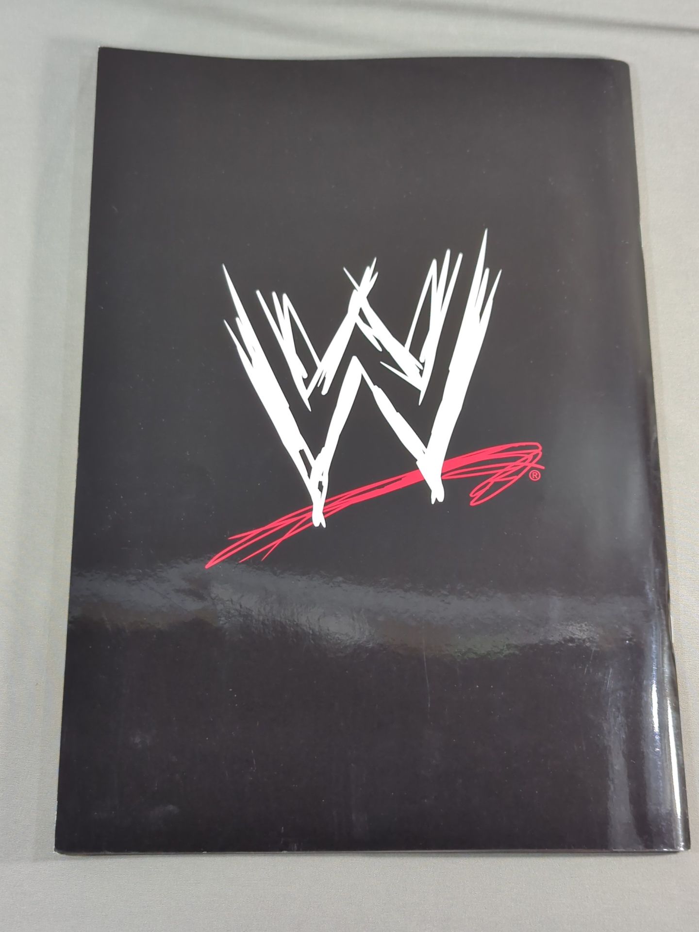 WWE LIVE OFFICIAL PROGRAM 2013