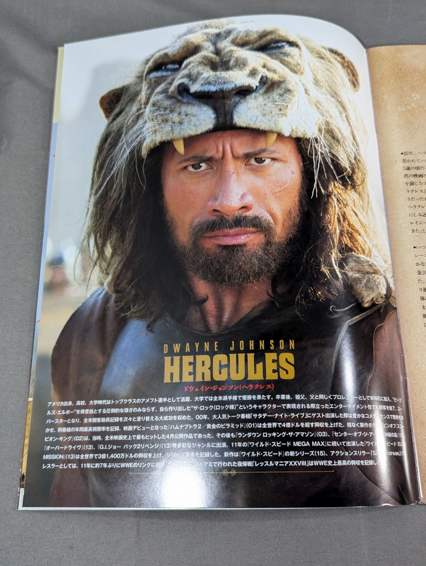 ☆ドウェイン・ジョンソン主演映画☆ ヘラクレス Hercules – 闘道館