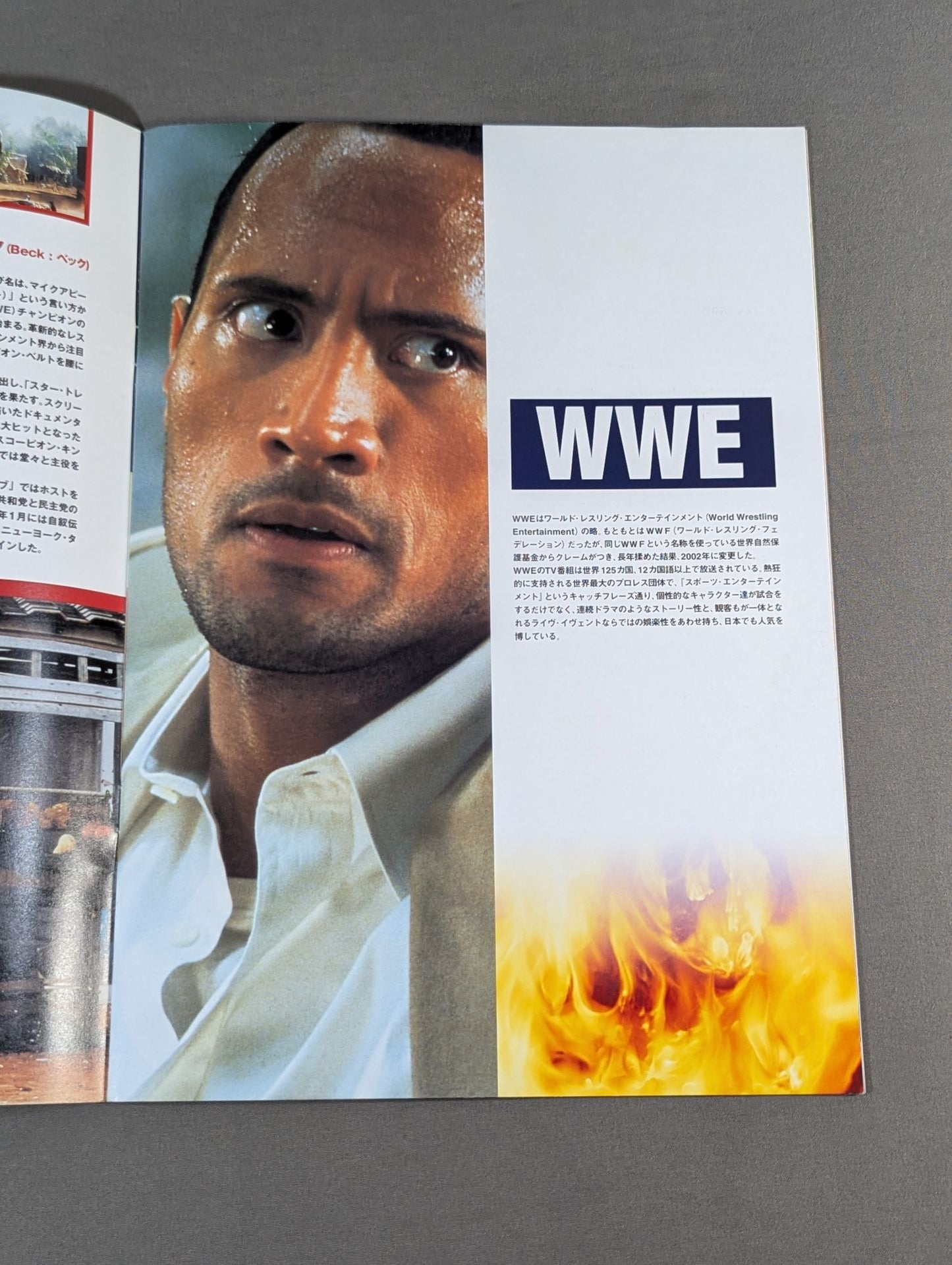 ★ザ・ロック主演映画★ ランダウン ロッキング・ザ・アマゾン