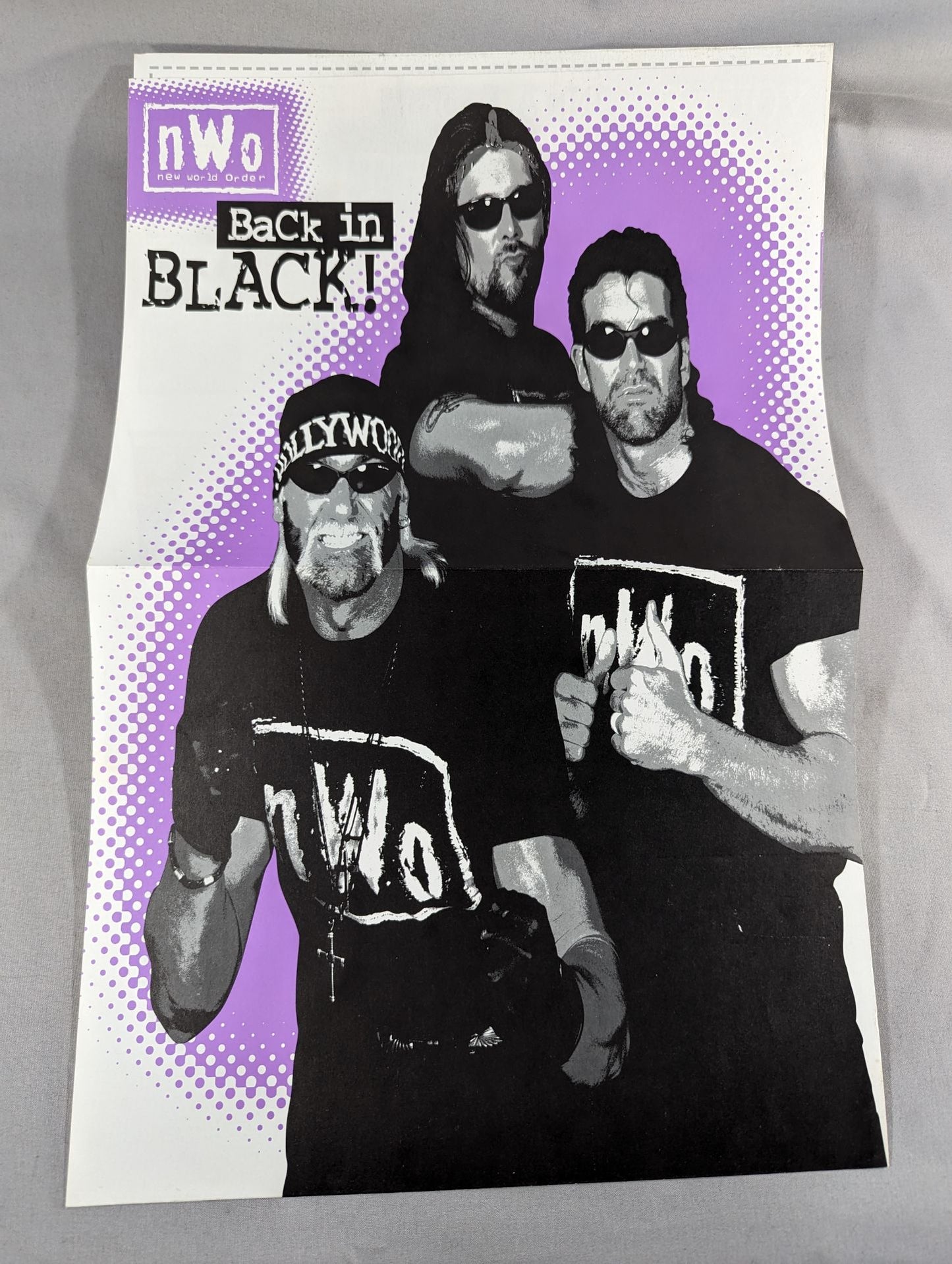 nWo グッズ紹介パンフレット