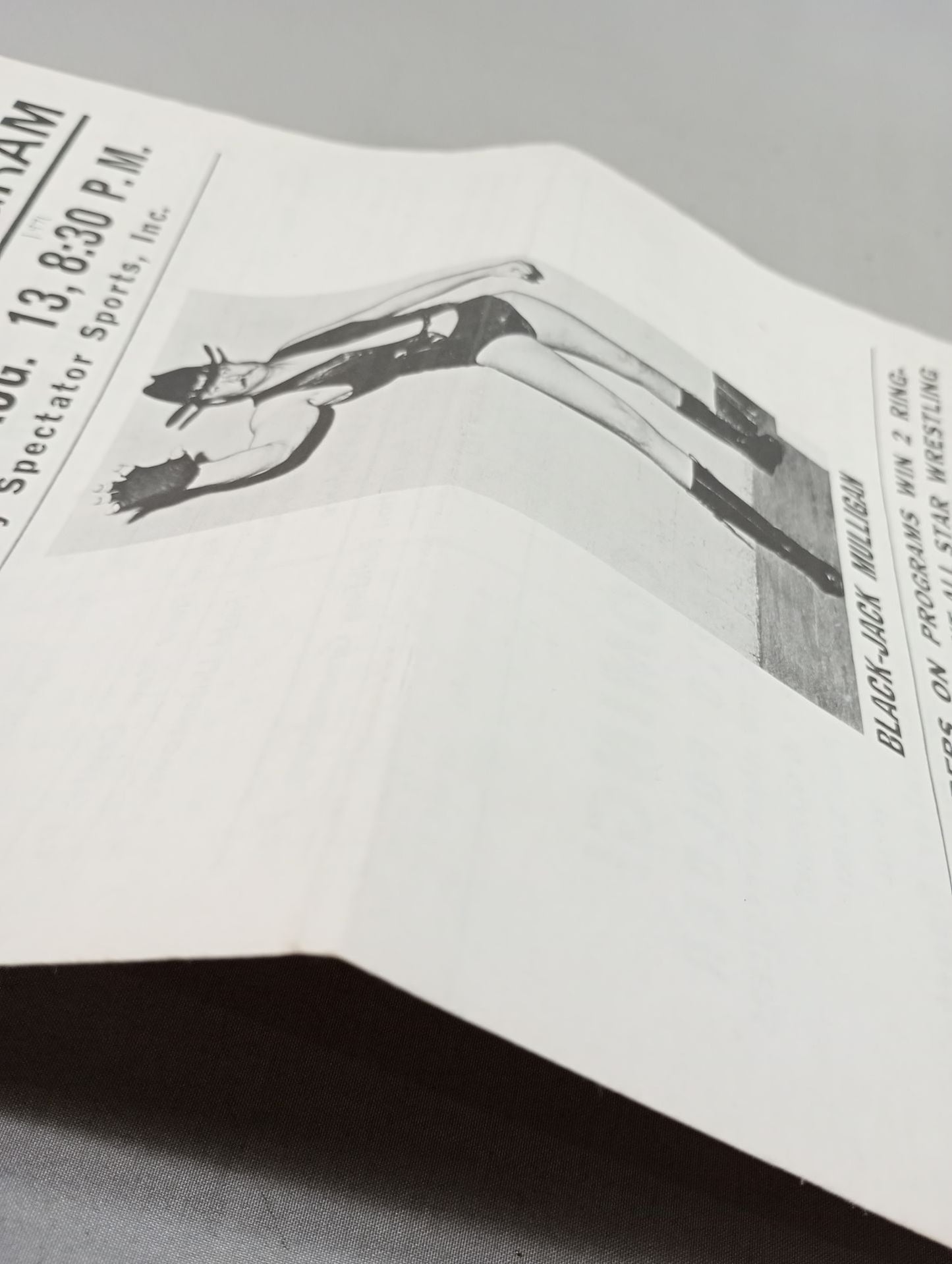 SOUVENIR WRESTLING PROGRAM No.1541