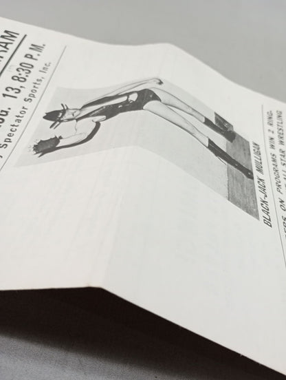 SOUVENIR WRESTLING PROGRAM No.1541