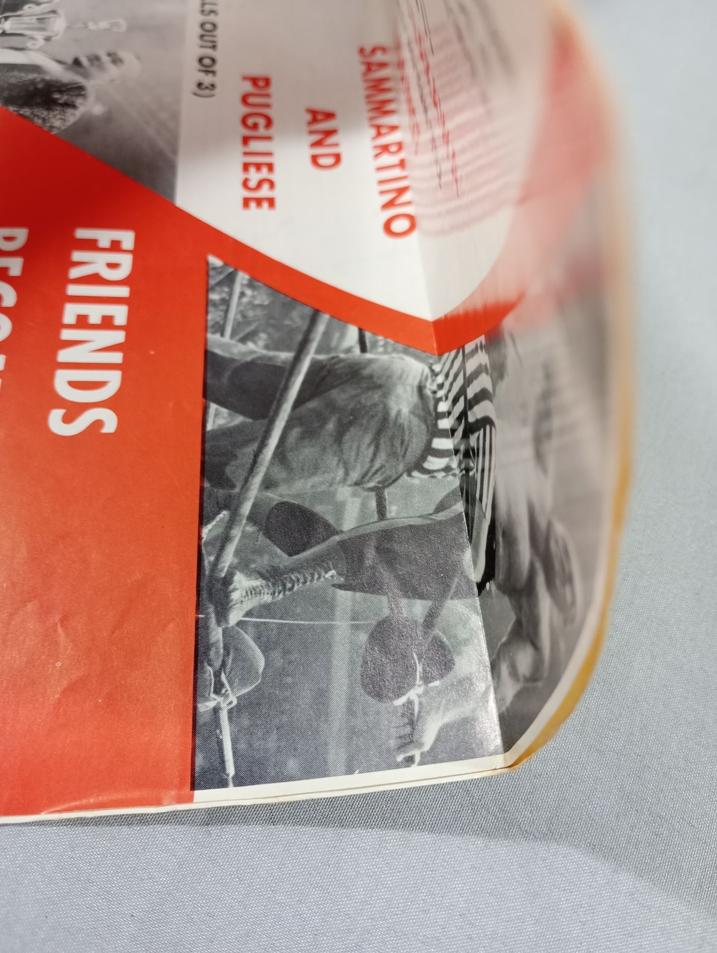 WWWF Wold Championship WRESTLING(1969.10.4)