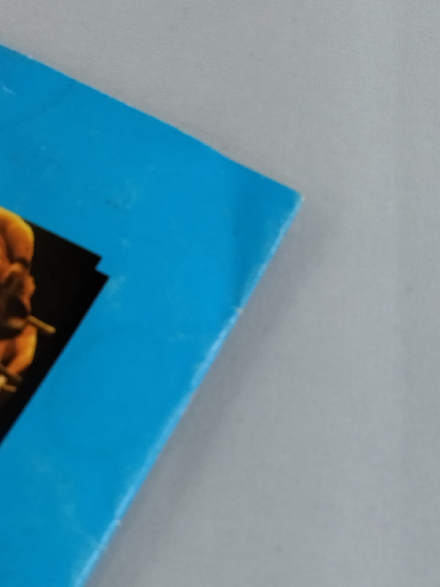 ★蝶野正洋 参戦★ CWA / EURO-CATCH-FESTIVAL‘94