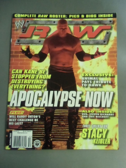 RAW MAGAZINE 2003年Holiday