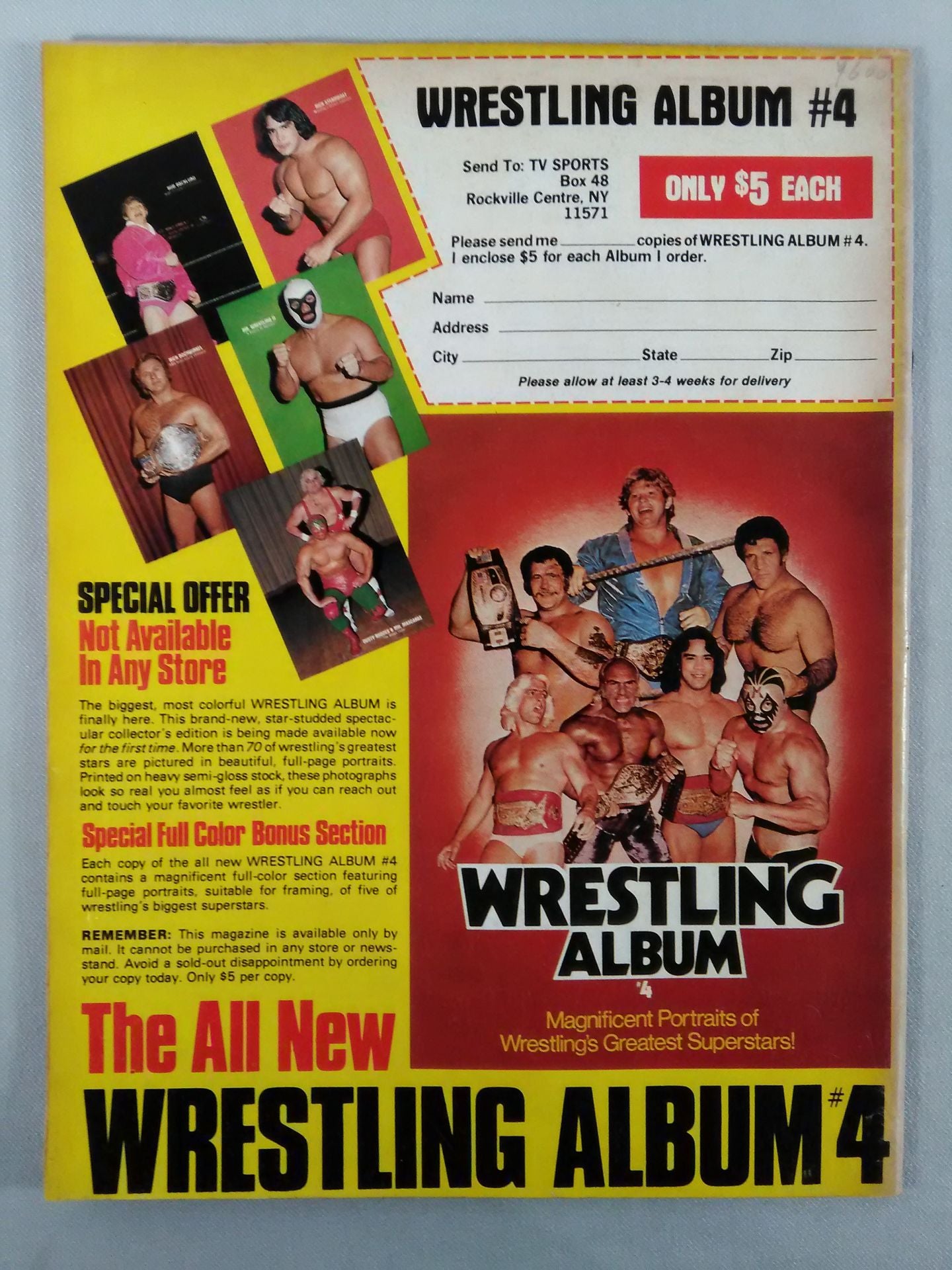 THE Wrestler 1981年01月号