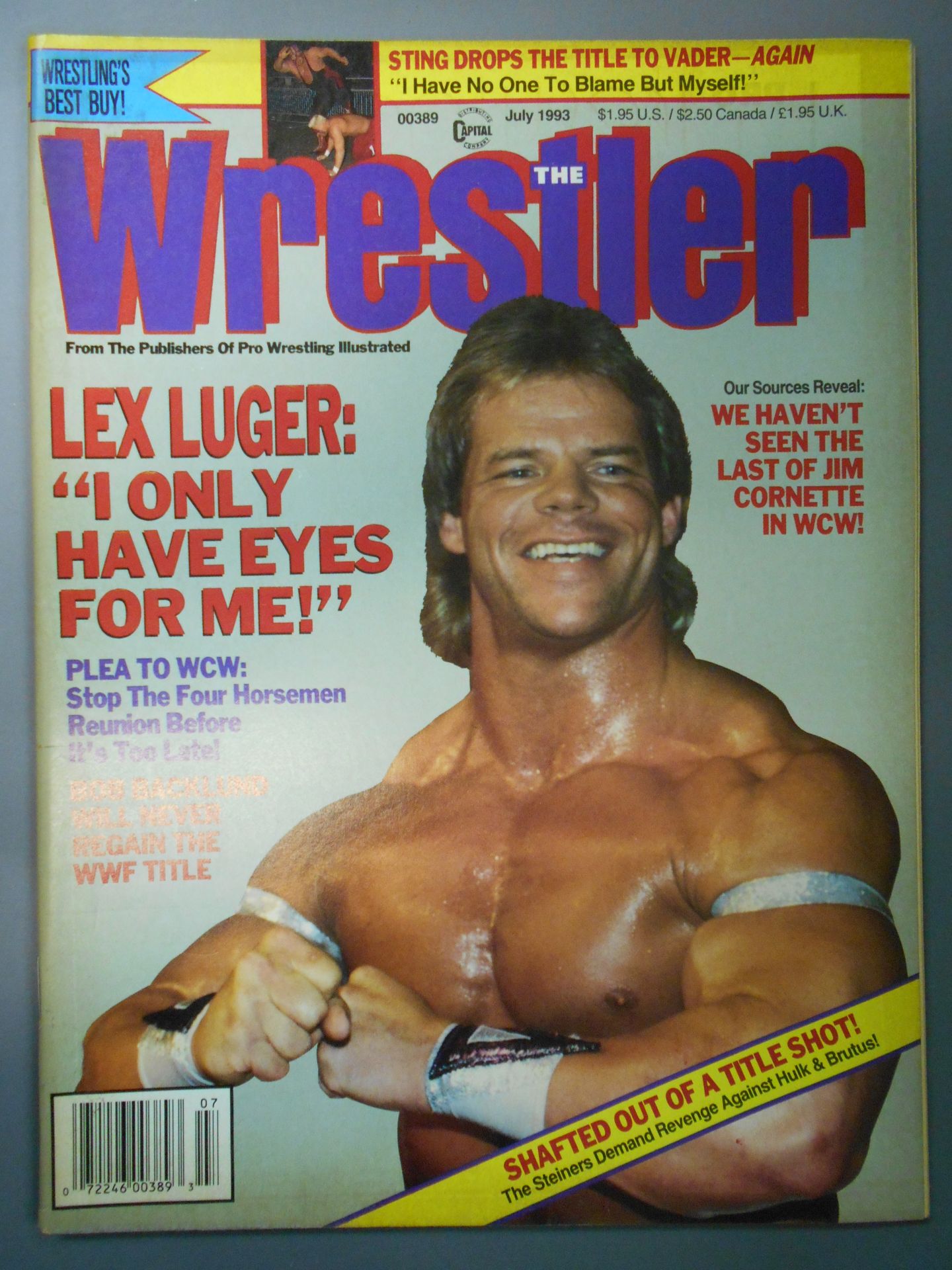 THE Wrestler 1993年07月号