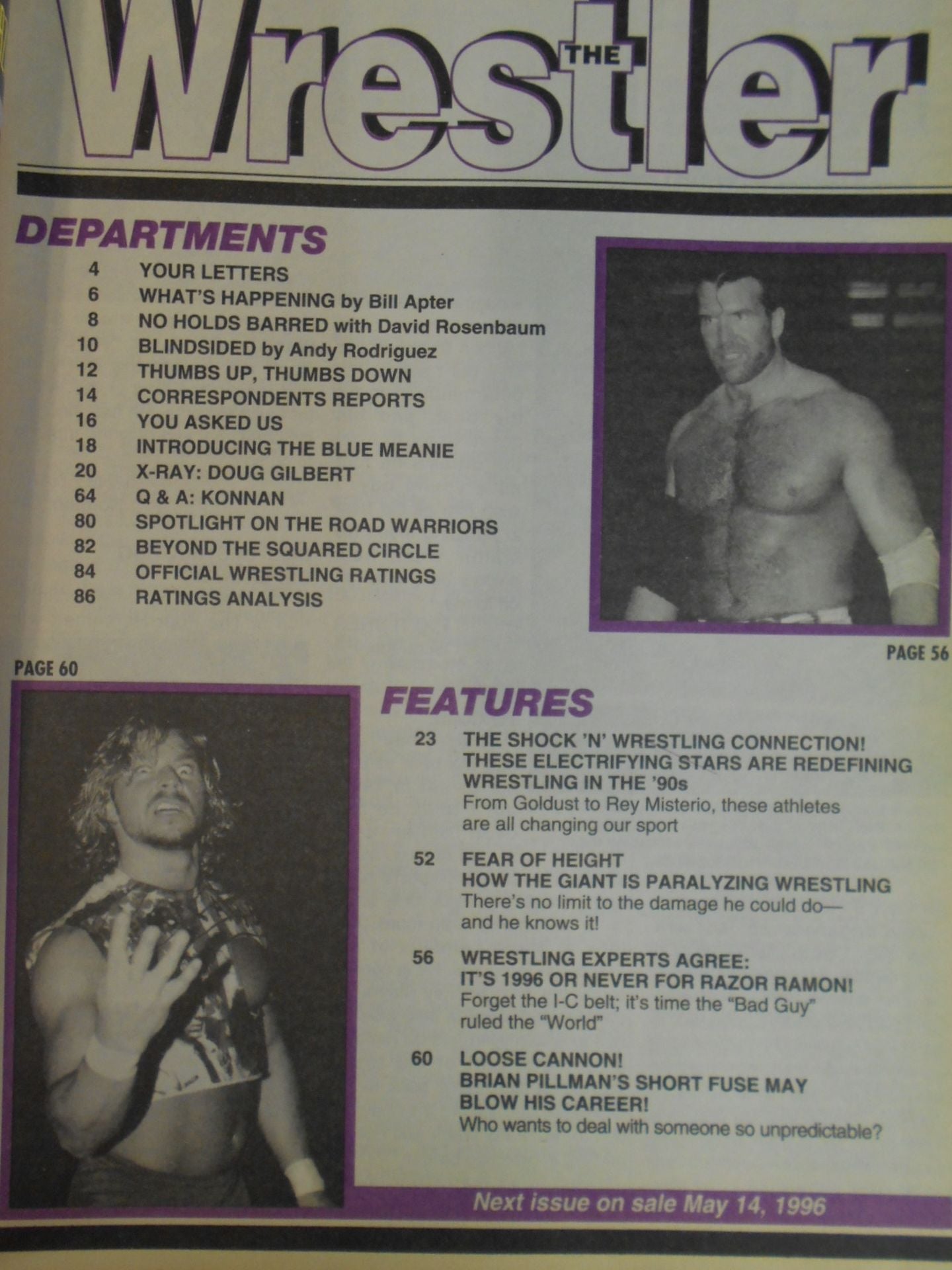 THE Wrestler 1996年06月号