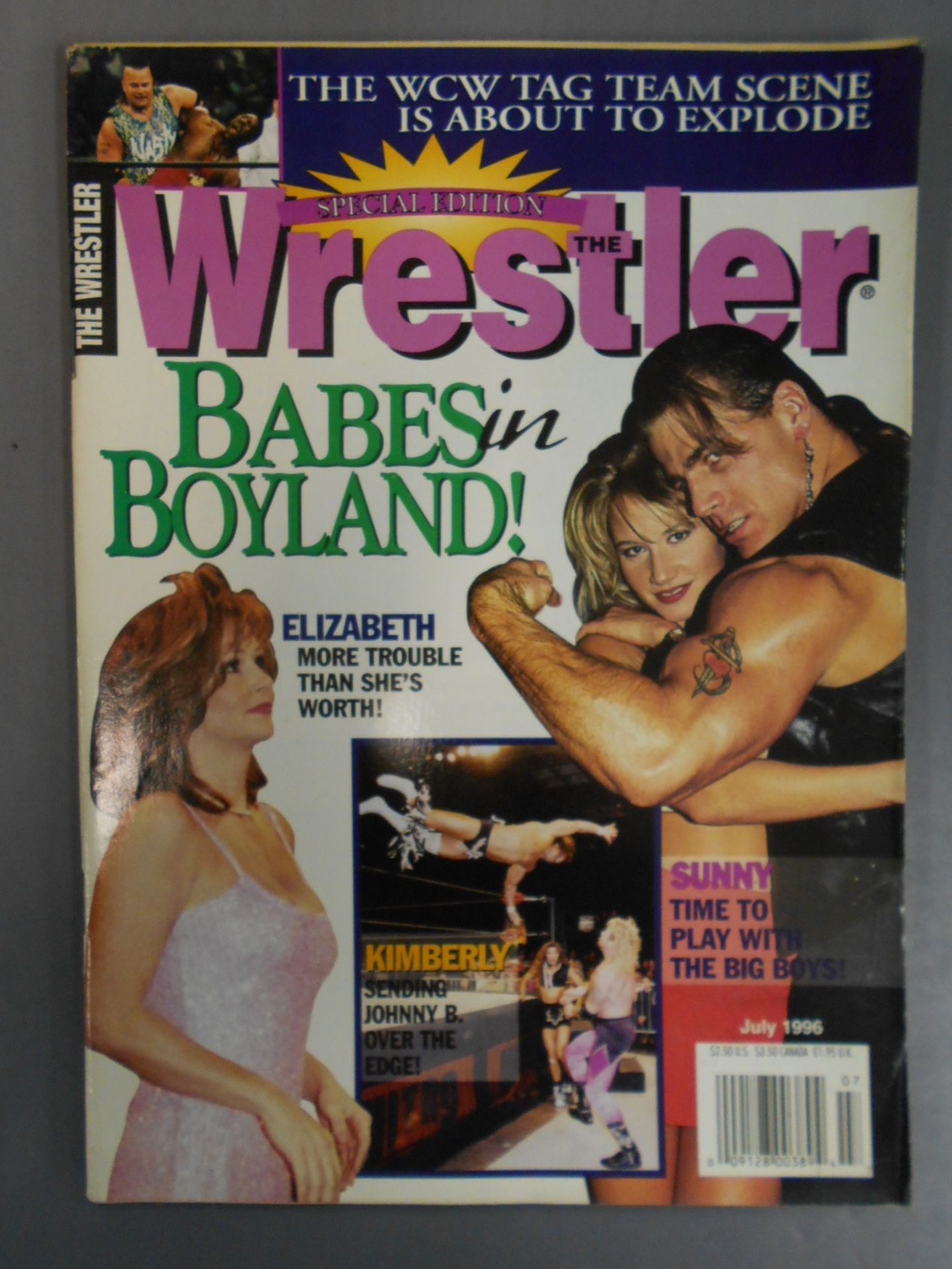 THE Wrestler 1996年07月号