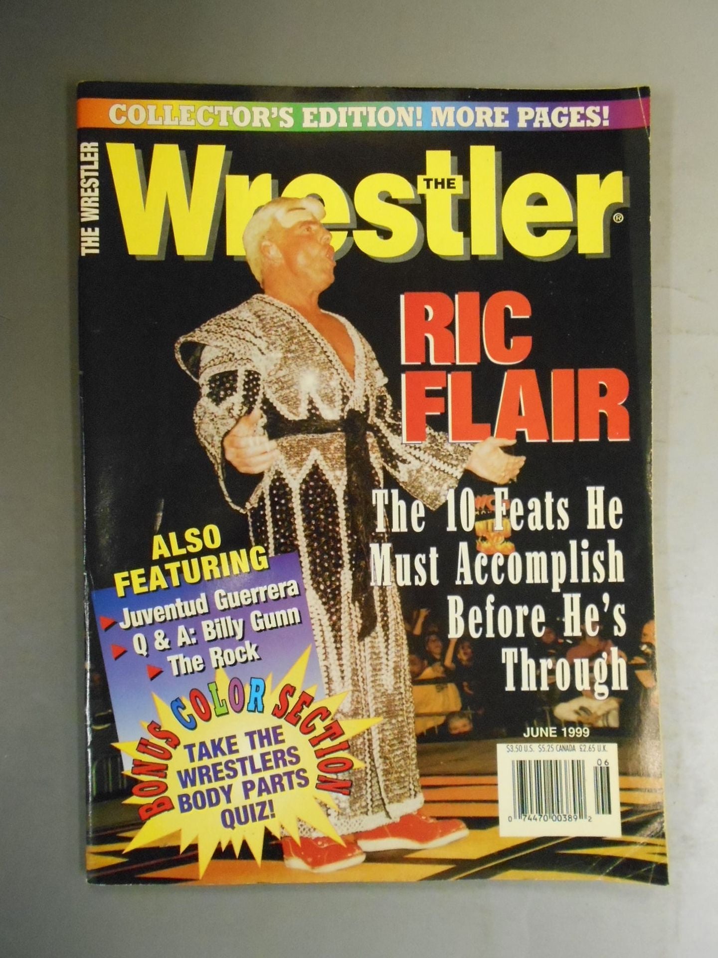 THE Wrestler 1999年06月号
