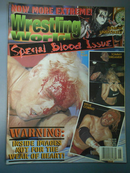 WRESTLING WORLD 2001年06月号
