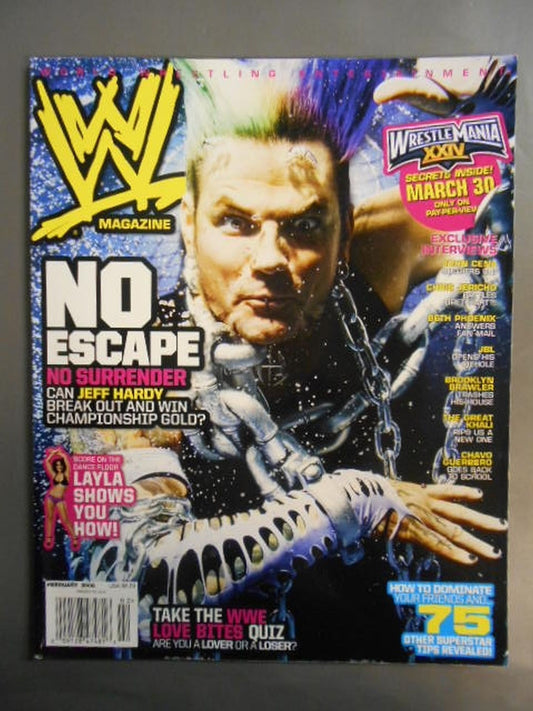 WWE MAGAZINE 2008年2月号