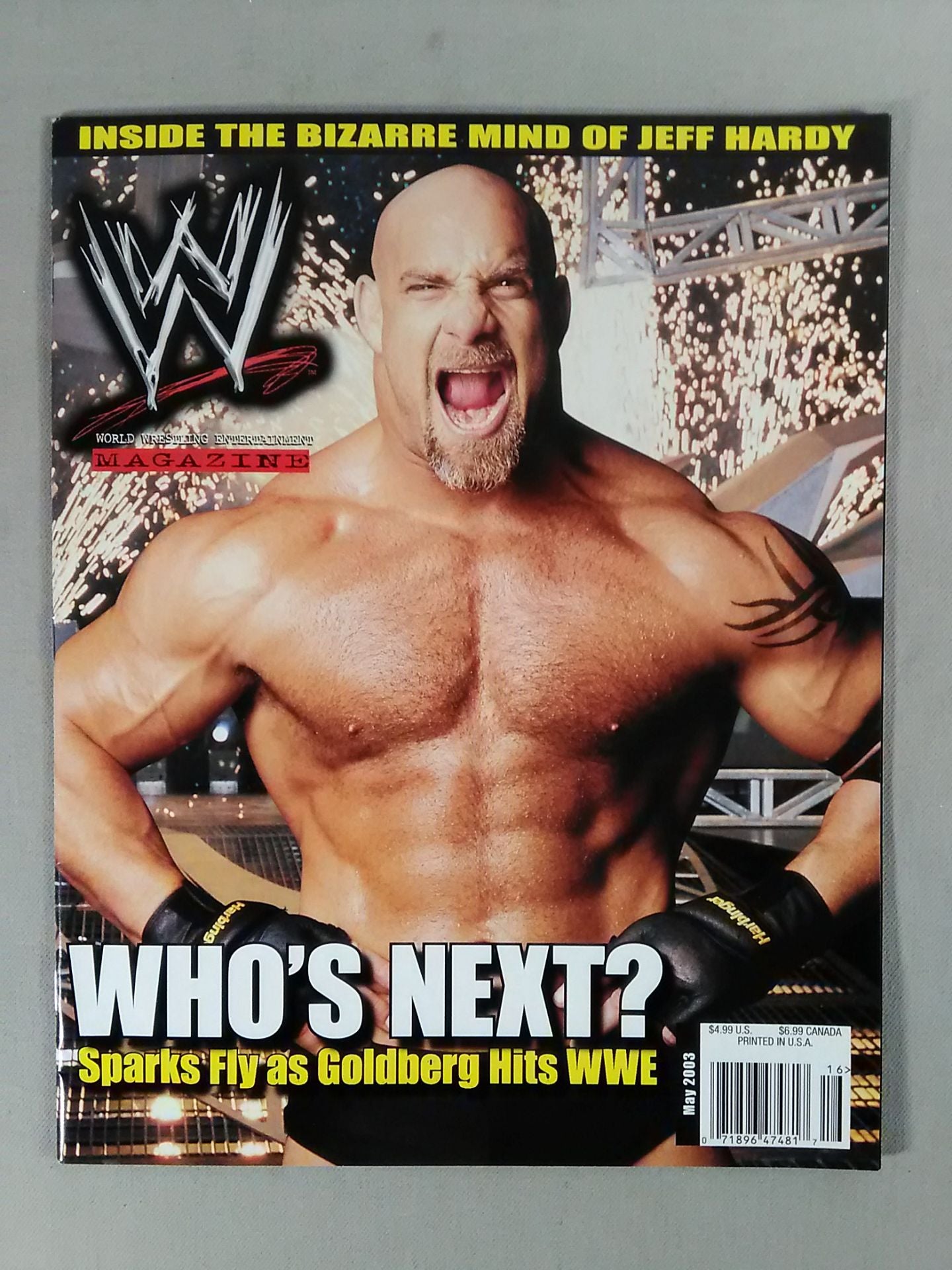 WWE MAGAZINE 2003年5月号