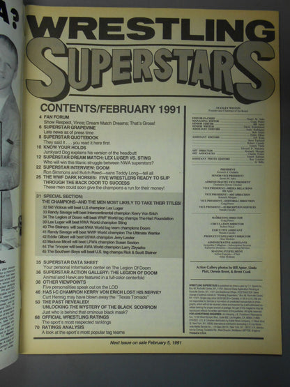 WRESTLING SUPER STARS 1991年02月号