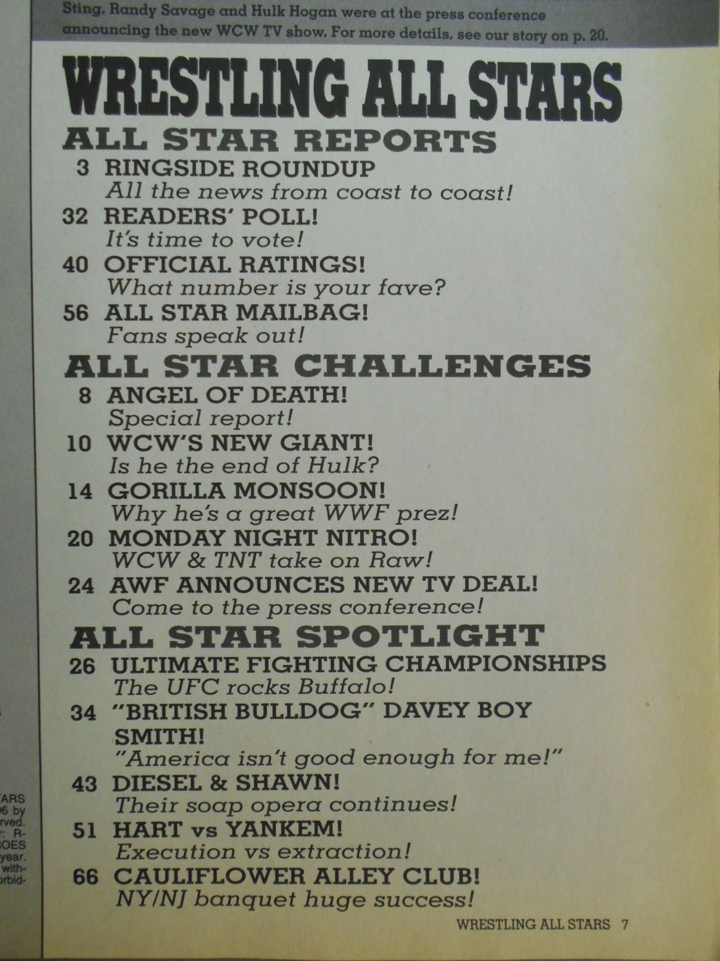 Wrestling ALL STARS HEROES＆VILLAINS No.81