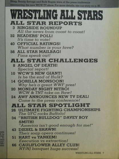 Wrestling ALL STARS HEROES＆VILLAINS No.81